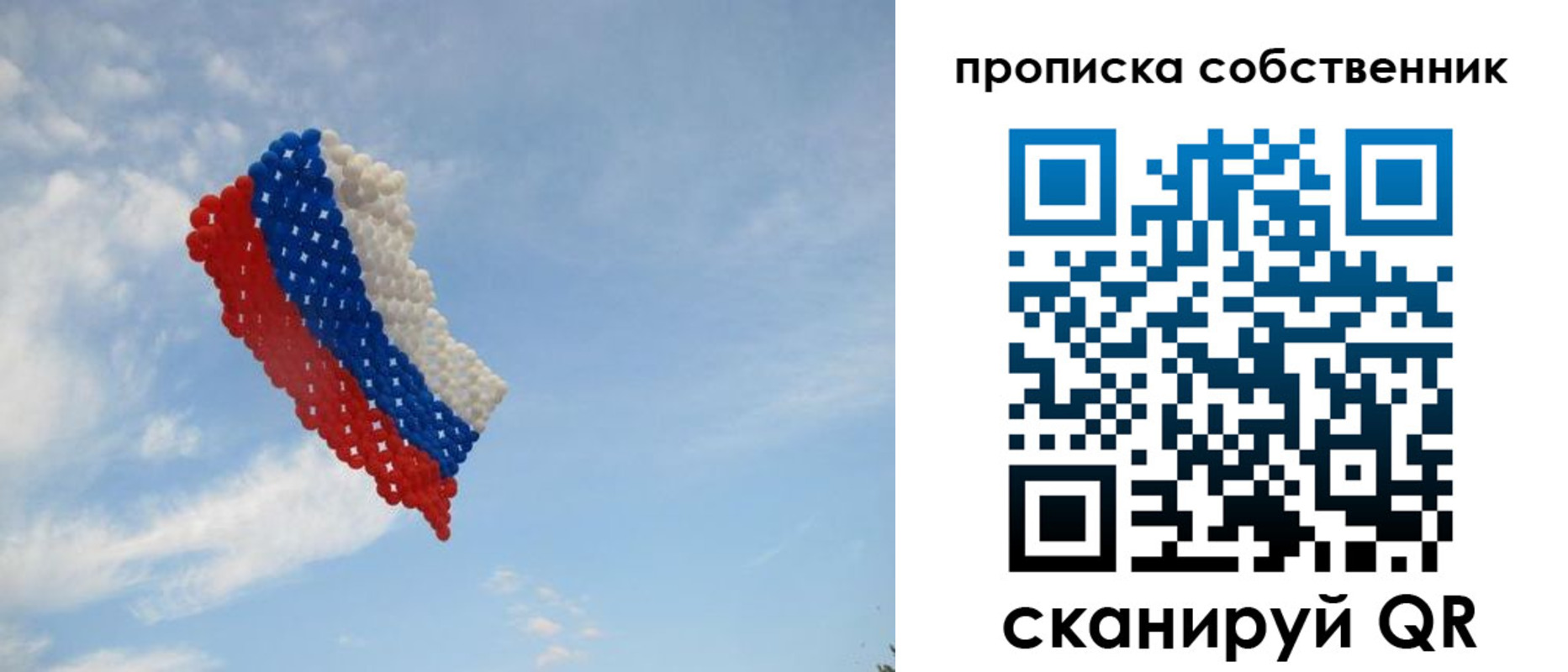 временная регистрация поиск в Можайске